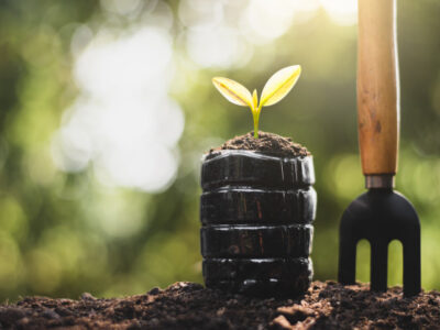 Plan Nacional de Adaptación y sostenibilidad ambiental