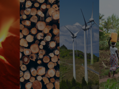 Empresa neutra en carbono