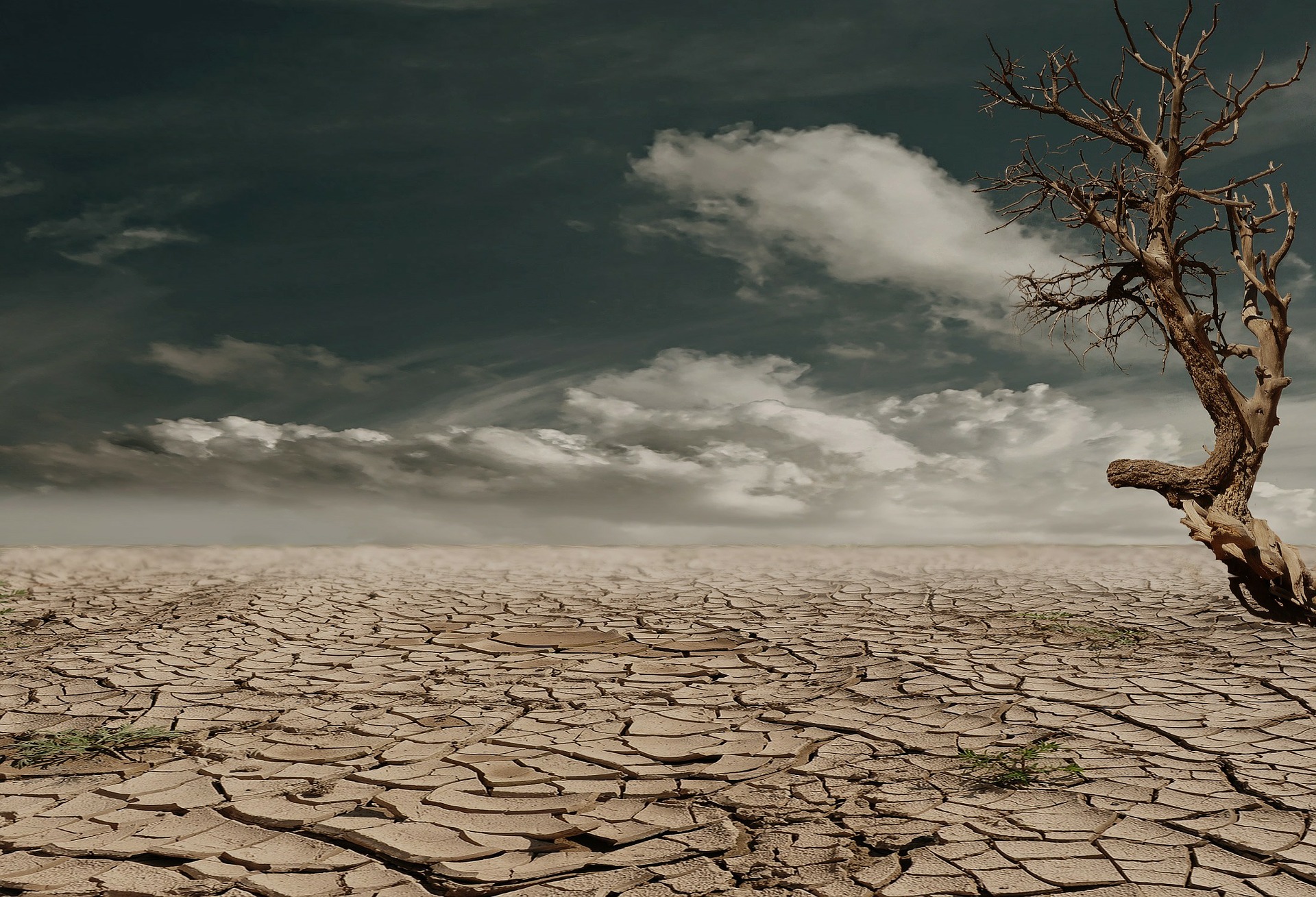 España será la sede del Día de la Desertificación y la Sequía en 2022