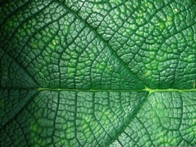 dia de la sobre carga en españa