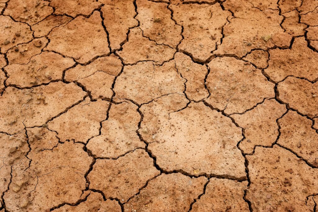 desertificación y la sequía