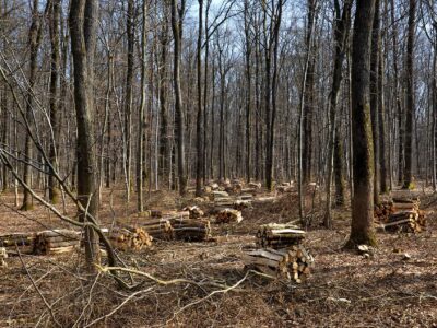 estrategia española de economía circular