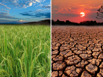 Día Mundial del Reciclaje Impacto de AACC en el Ciclo del Agua 2 ACS Reycling