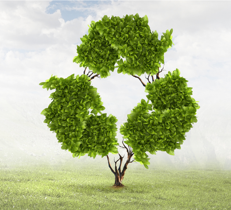 Vision-Lideres-en-la-gestion-y-tratamiento-raee-ACS-Recycling